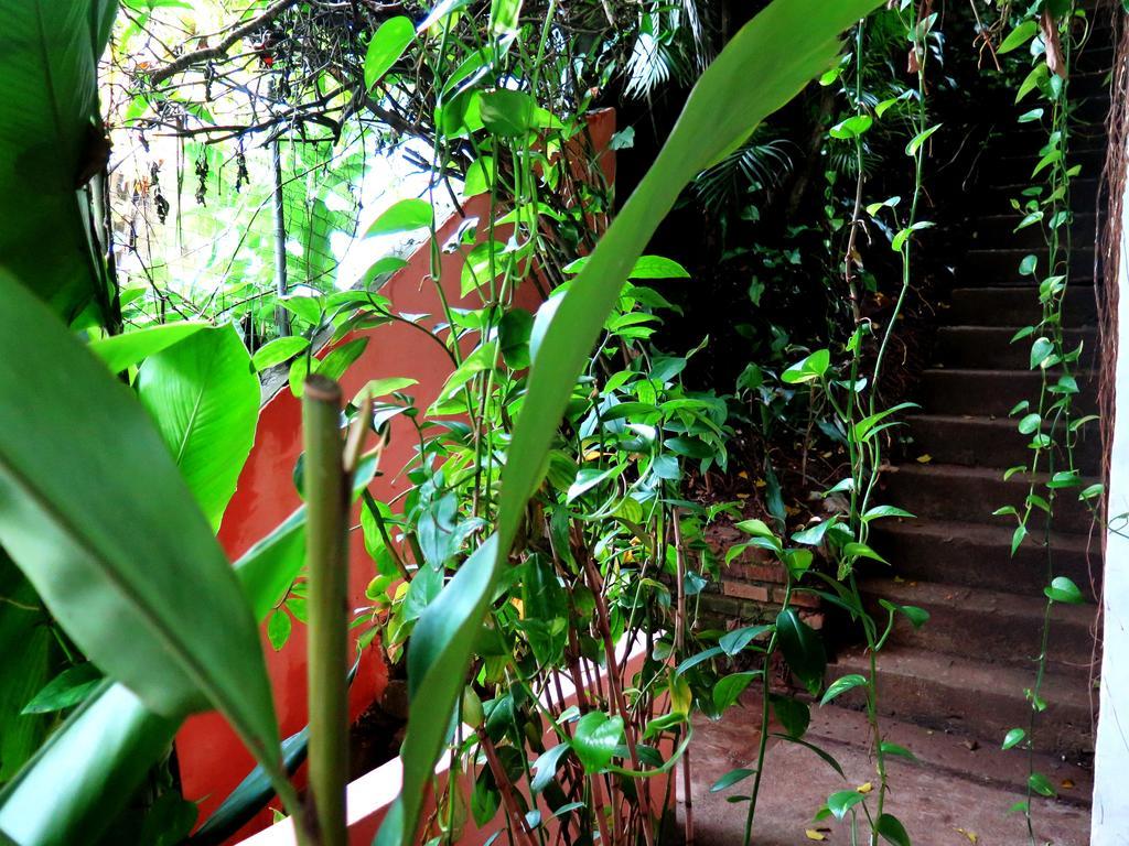 Para Ti Guesthouse Rio de Janeiro Exterior photo